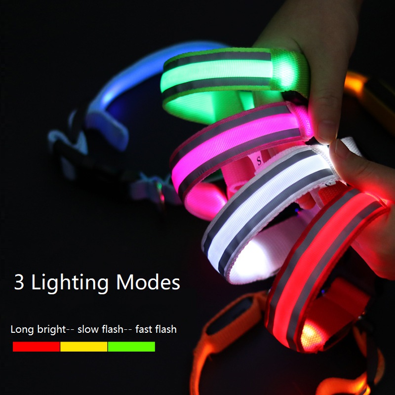 New Dog Light Night Safety Led - Tech Dog Accessories recensione e prezzo
