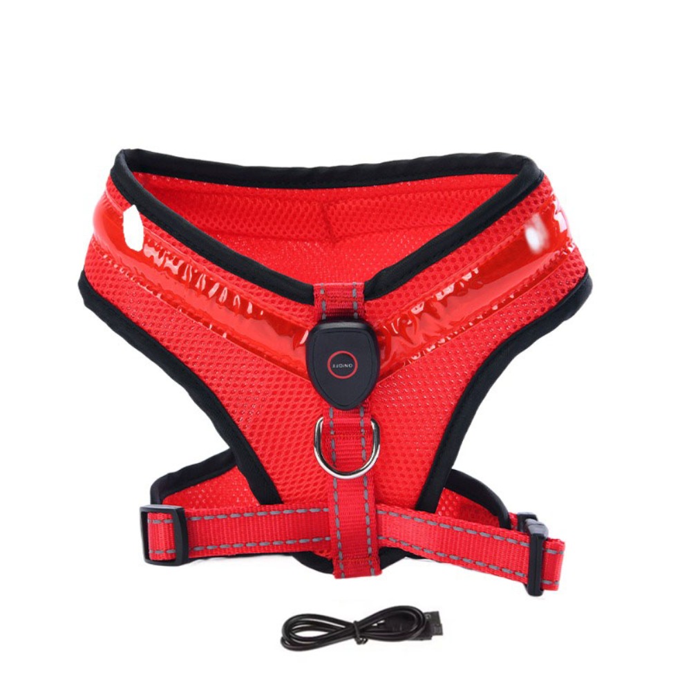 Practical Luminous Pet LED Har - Tech Dog Accessories recensione e prezzo