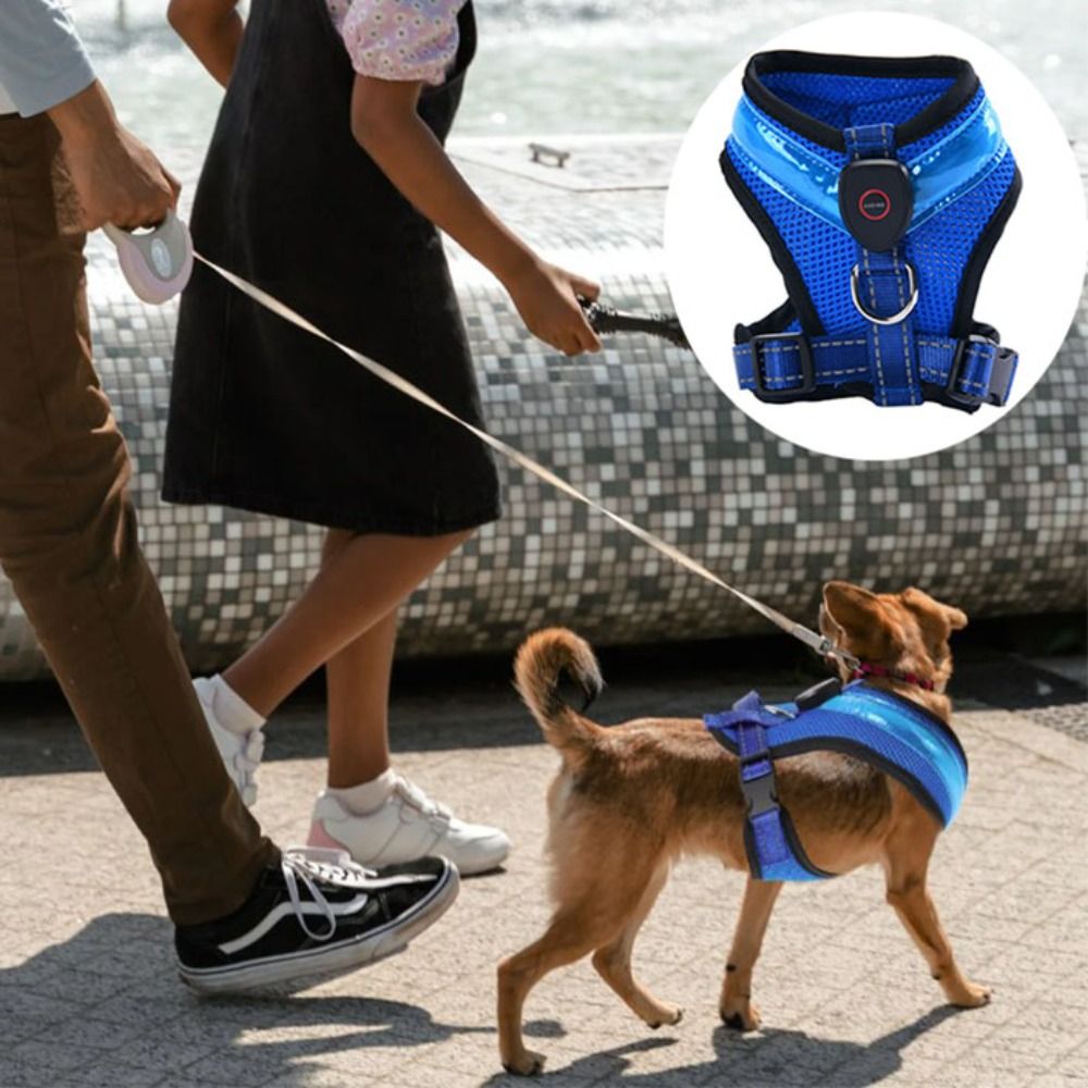 Practical Luminous Pet LED Har - Tech Dog Accessories recensione e prezzo