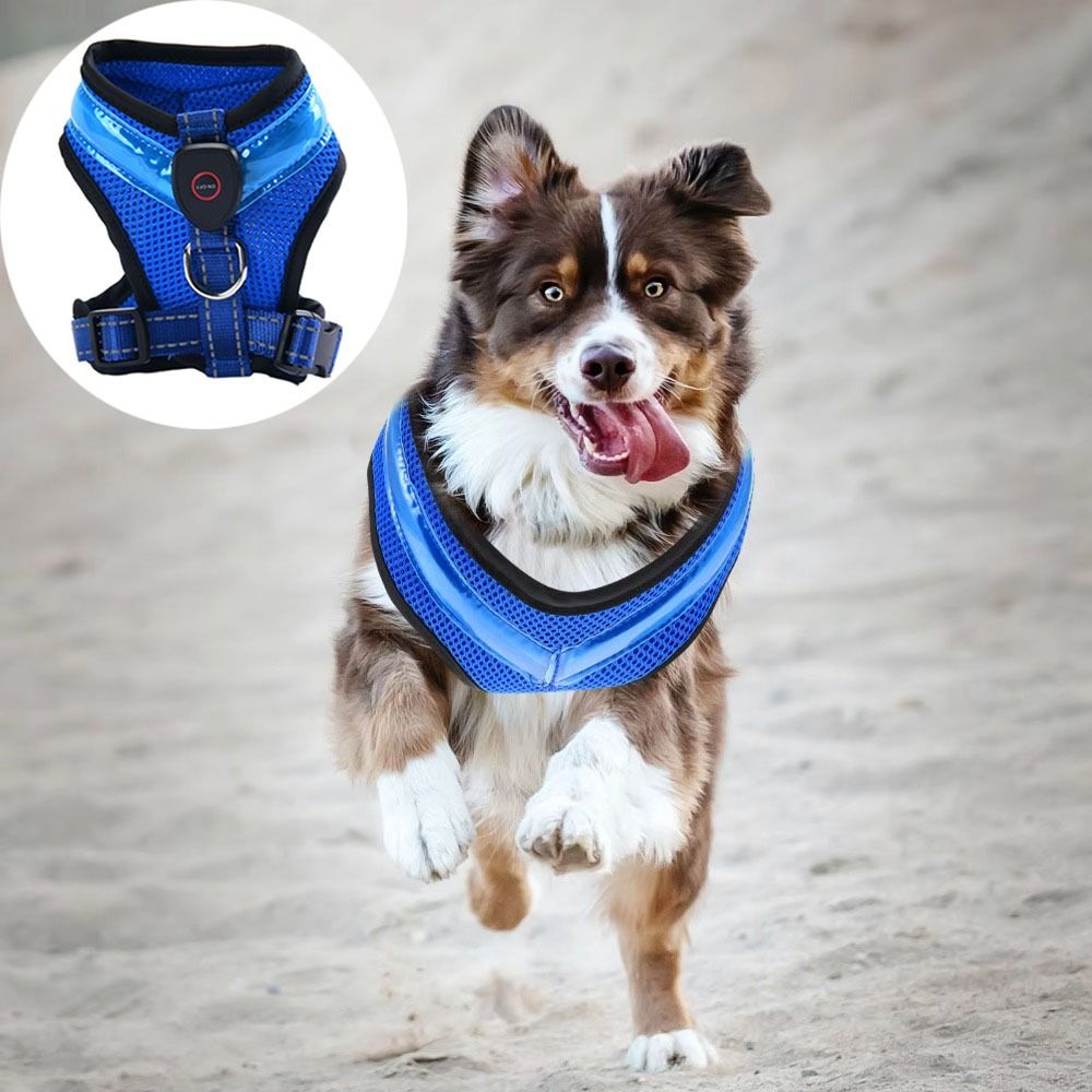 Practical Luminous Pet LED Har - Tech Dog Accessories recensione e prezzo