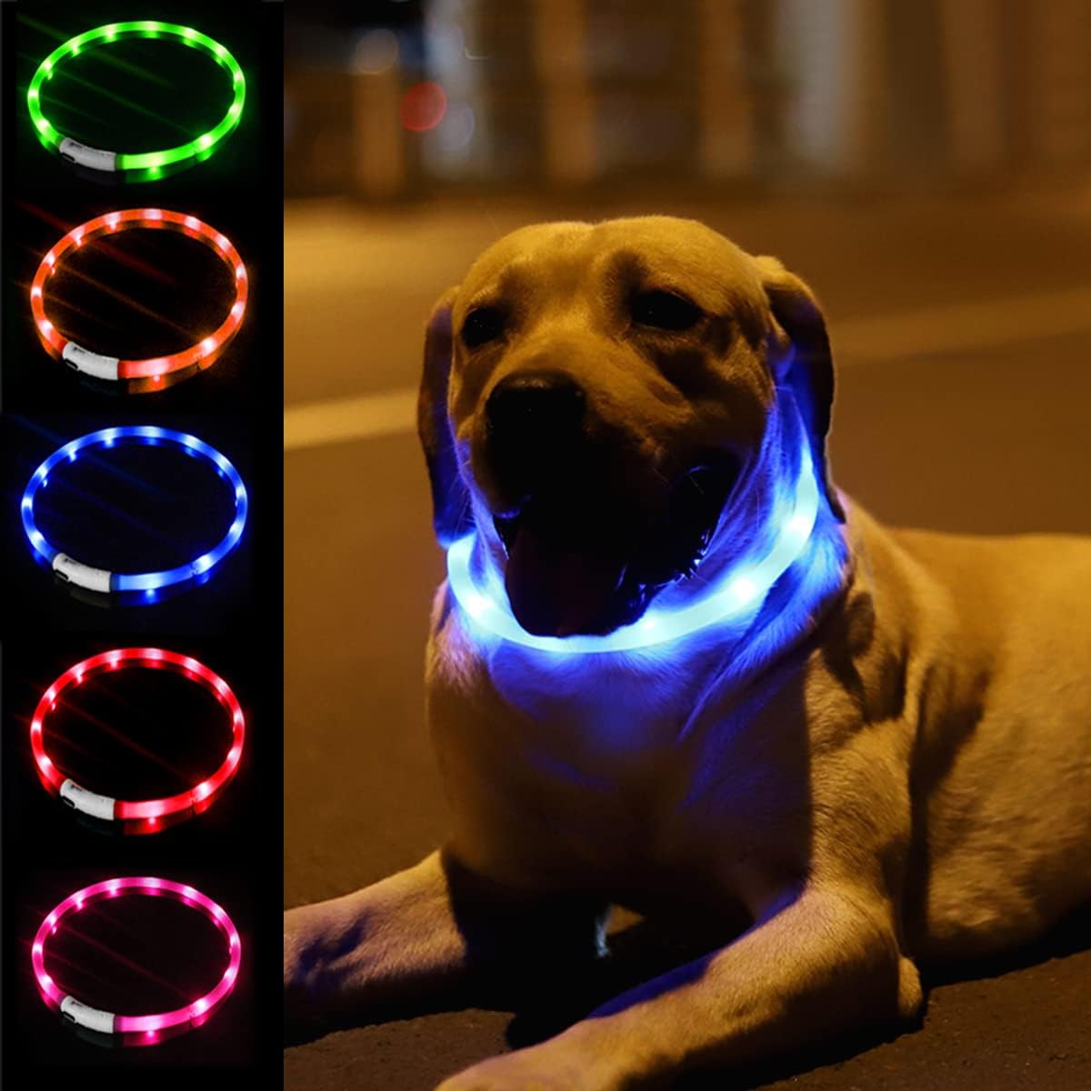 Silicone LED Dog Collar,USB Re - Tech Dog Accessories recensione e prezzo