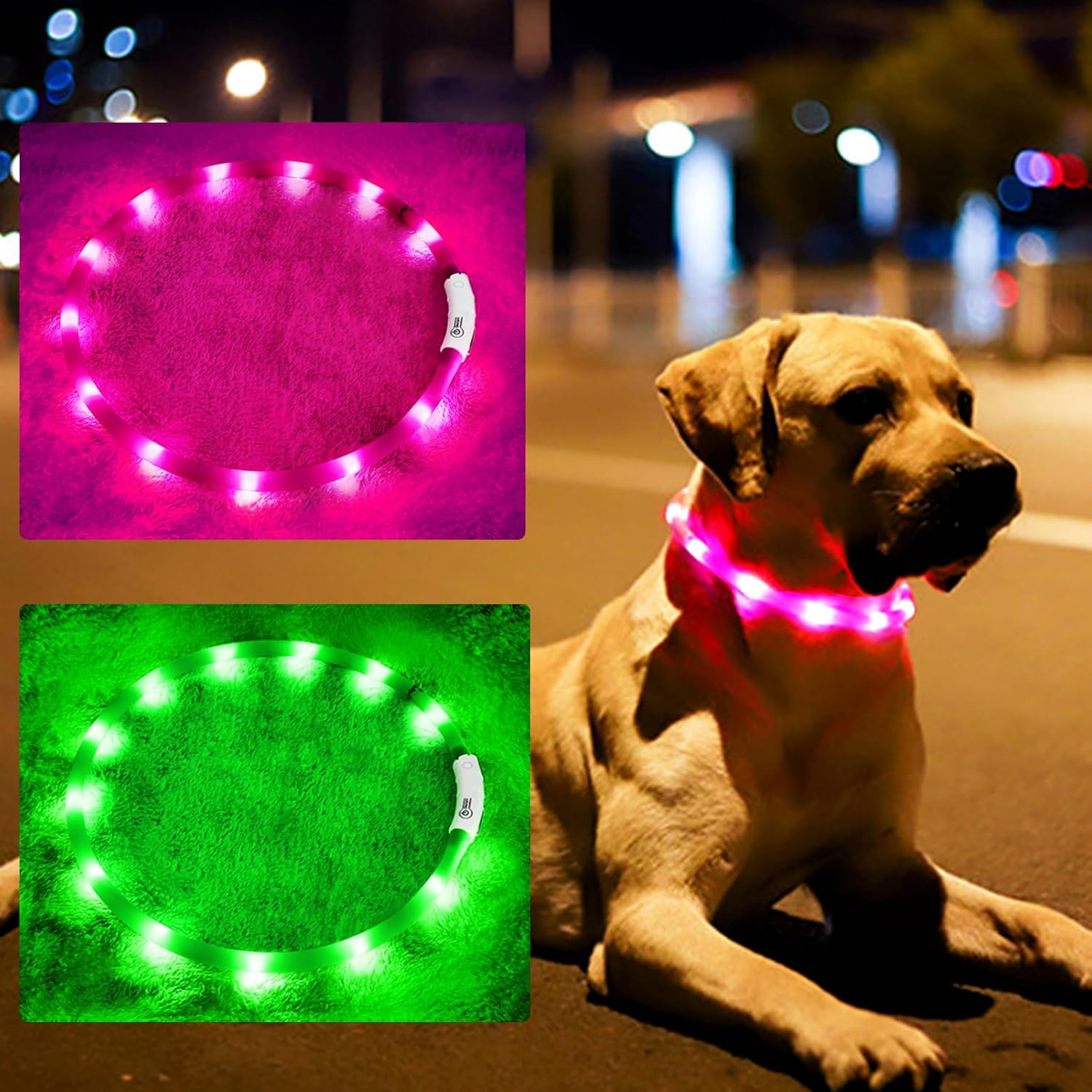 Silicone LED Dog Collar,USB Re - Tech Dog Accessories recensione e prezzo