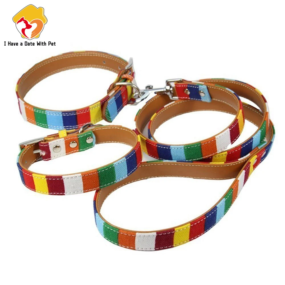 (1 collar+1 leash)  S M L XL X - Tech Dog Accessories recensione e prezzo