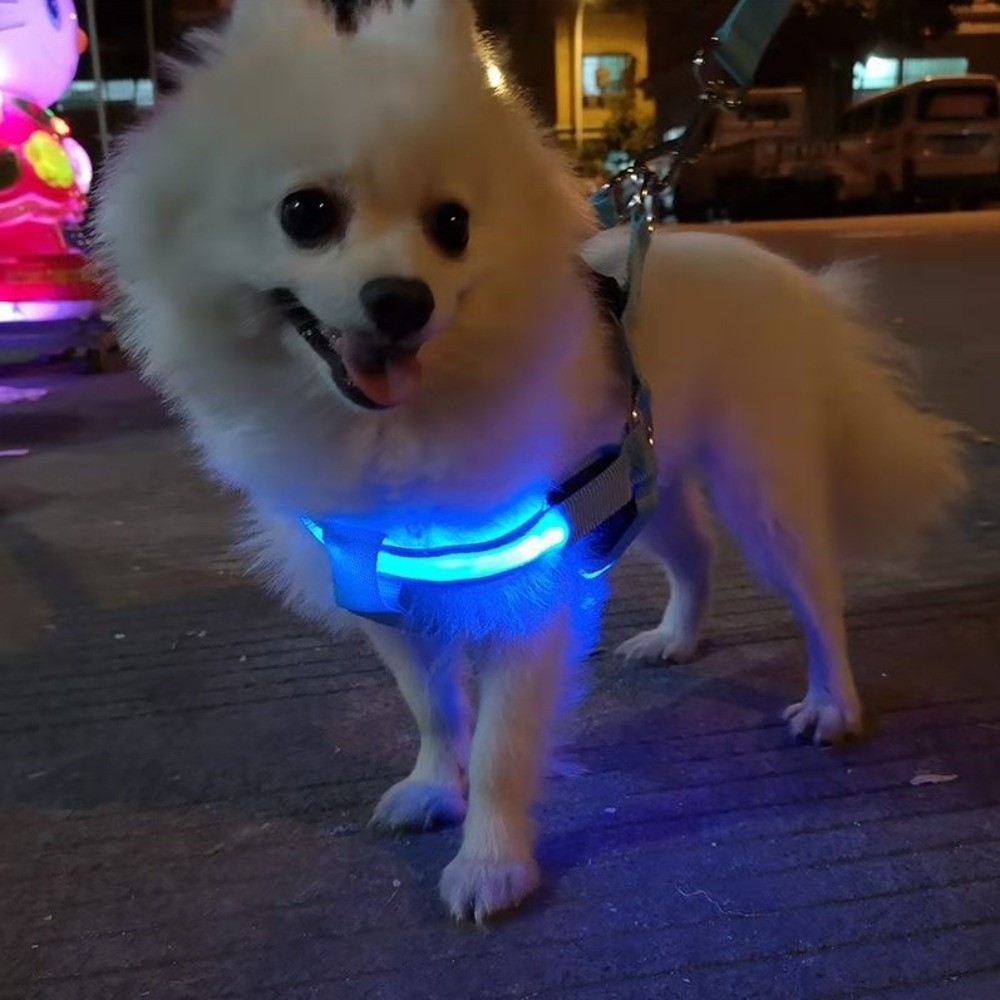 Breathable Light Up LED Dog Ha - Tech Dog Accessories recensione e prezzo