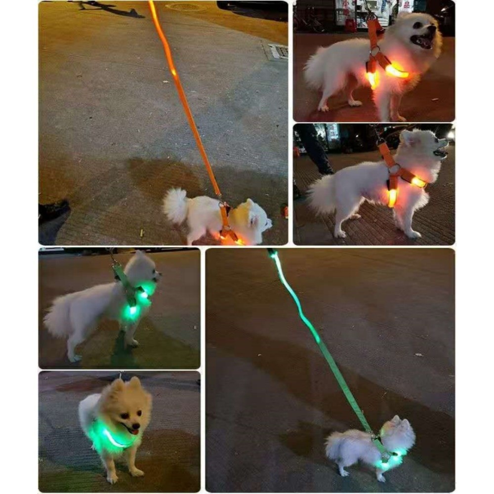 Breathable Light Up LED Dog Ha - Tech Dog Accessories recensione e prezzo