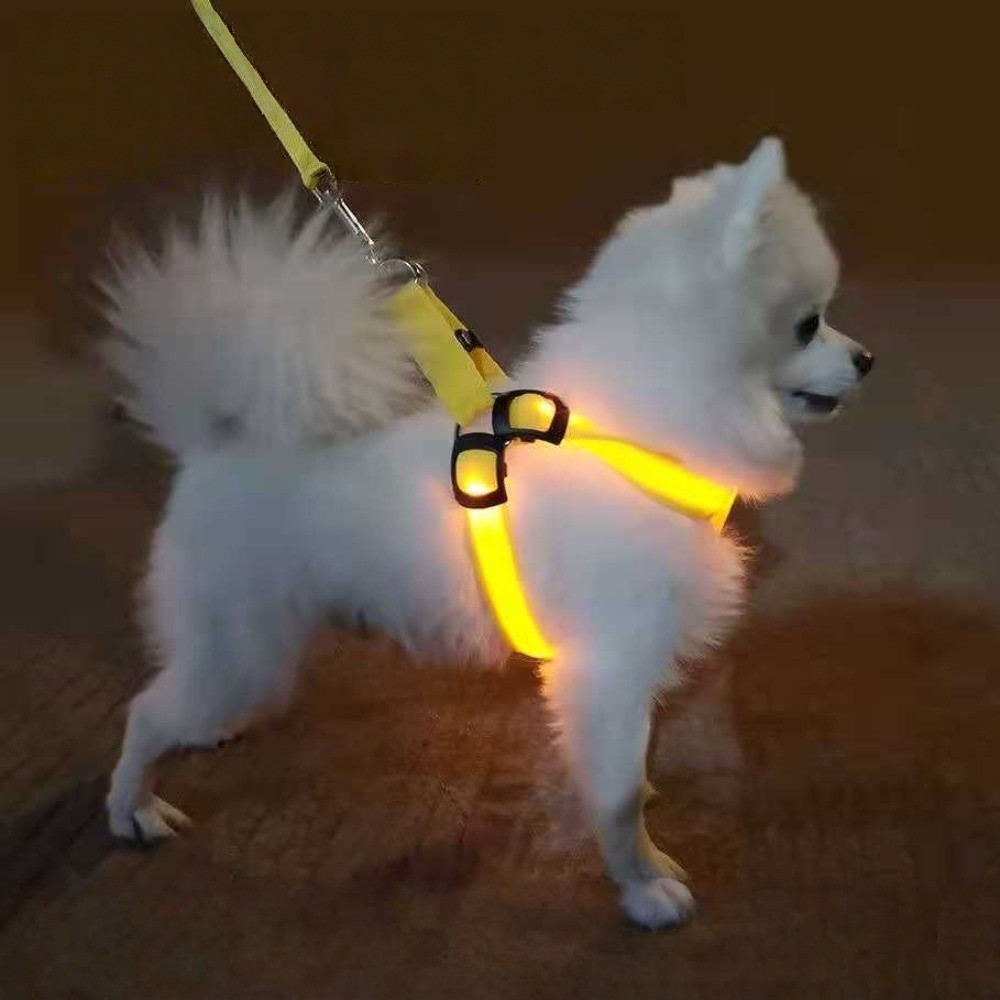 Breathable Light Up LED Dog Ha - Tech Dog Accessories recensione e prezzo