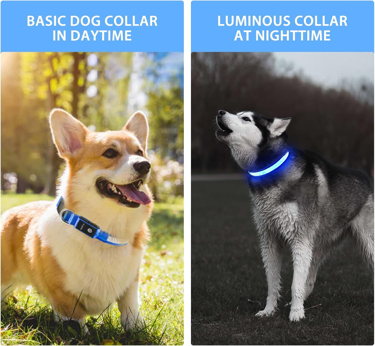 USB LED Dog Collar Lights - Ad - Tech Dog Accessories recensione e prezzo