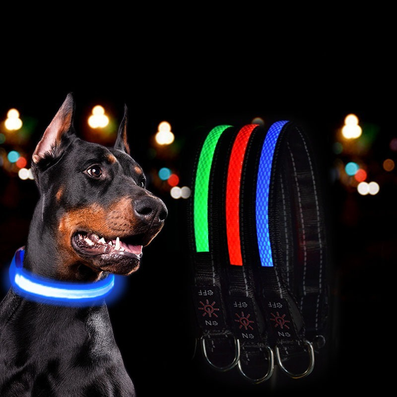 USB LED Dog Collar Lights - Ad - Tech Dog Accessories recensione e prezzo