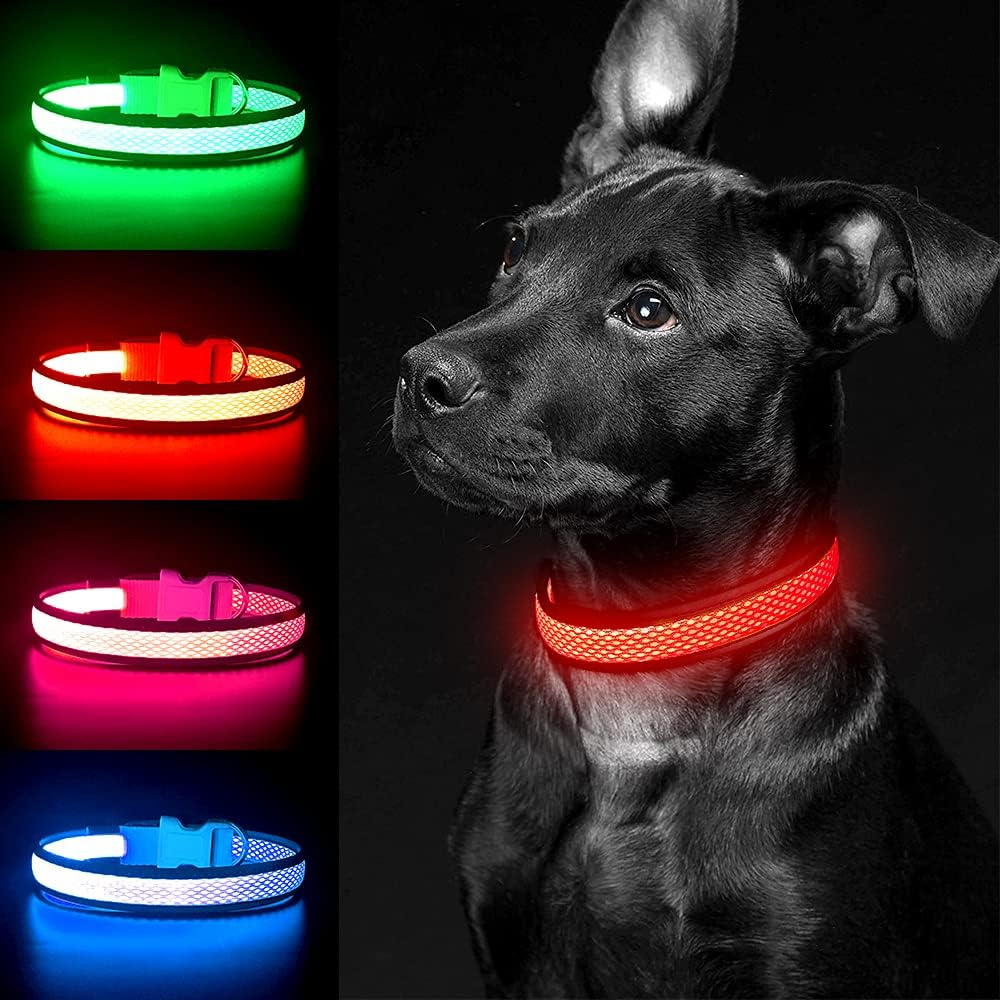 USB LED Dog Collar Lights - Ad - Tech Dog Accessories recensione e prezzo