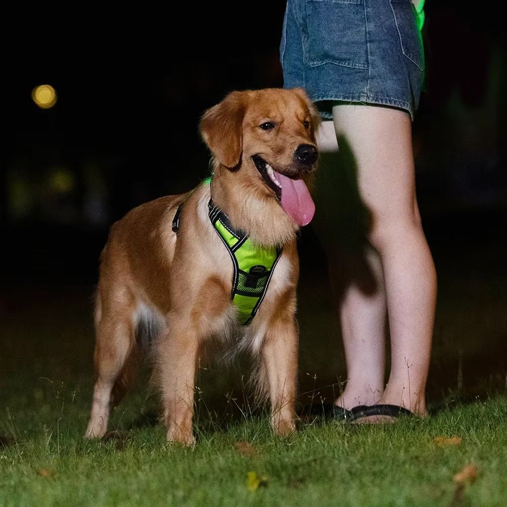 Durable Light Up LED Dog Harne - Tech Dog Accessories recensione e prezzo