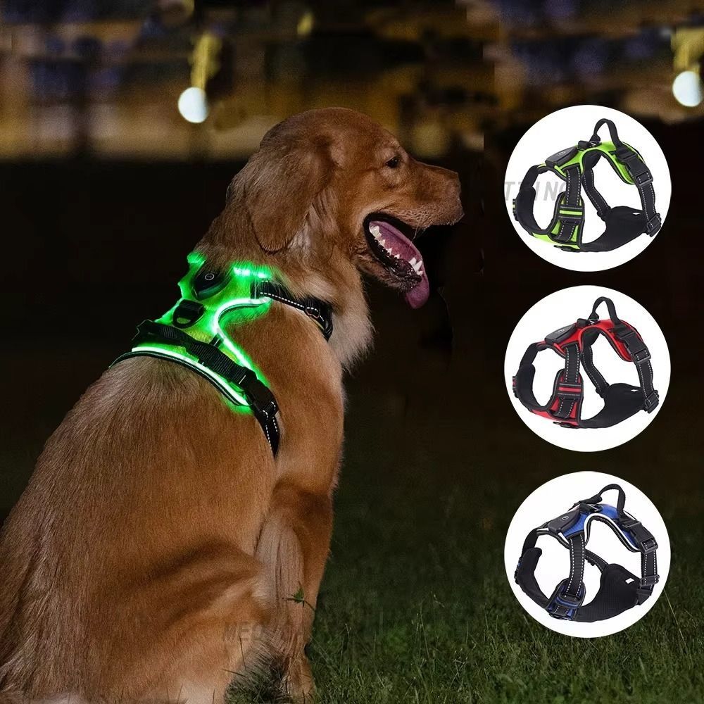 Durable Light Up LED Dog Harne - Tech Dog Accessories recensione e prezzo