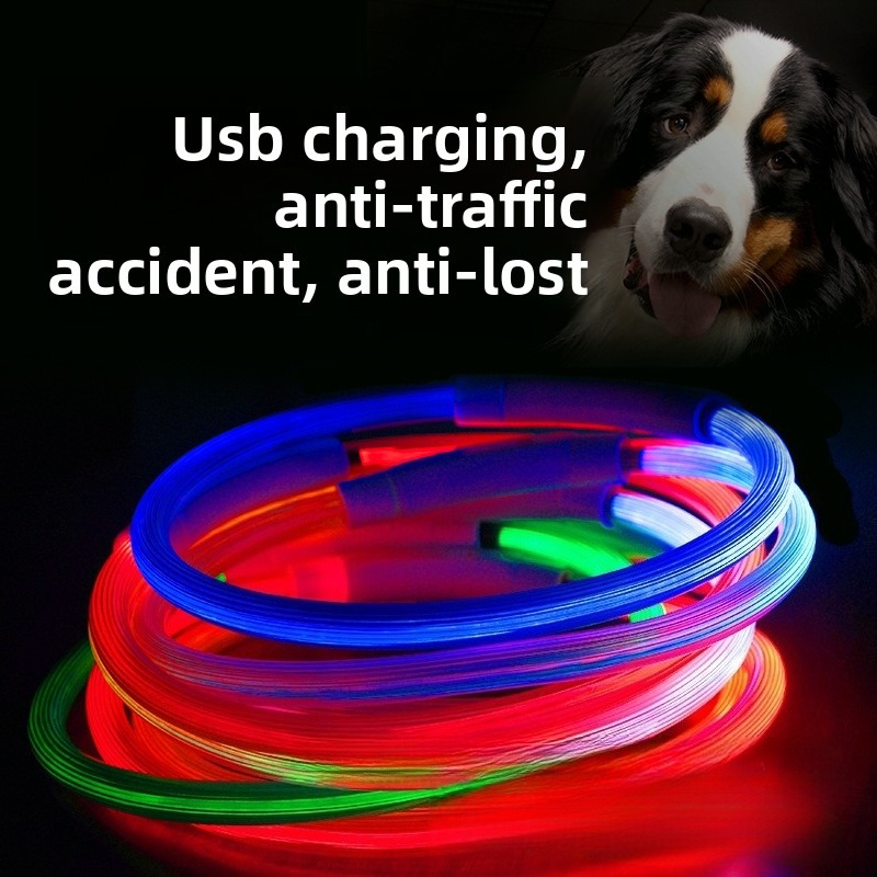 Rechargeable Led Dog Collar Ad - Tech Dog Accessories recensione e prezzo