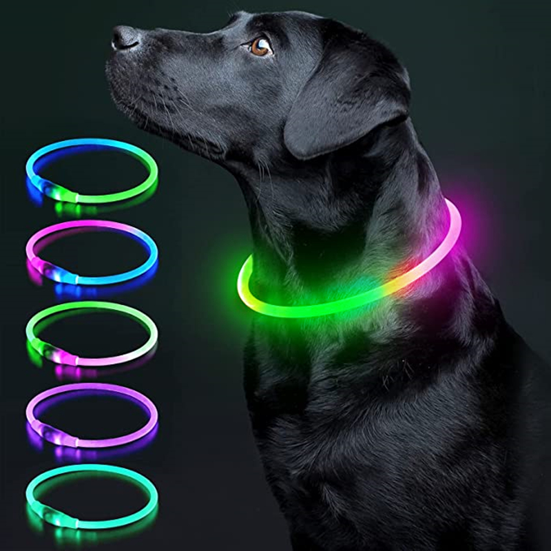 Luminous Dog Collar Light Char - Tech Dog Accessories recensione e prezzo