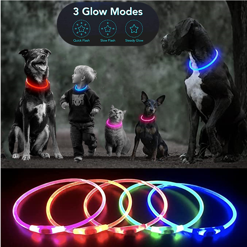 Luminous Dog Collar Light Char - Tech Dog Accessories recensione e prezzo