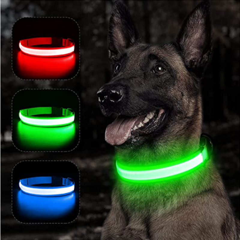 USB Rechargeable Luminous Coll - Tech Dog Accessories recensione e prezzo