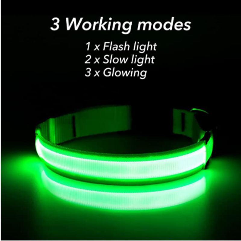 USB Rechargeable Luminous Coll - Tech Dog Accessories recensione e prezzo