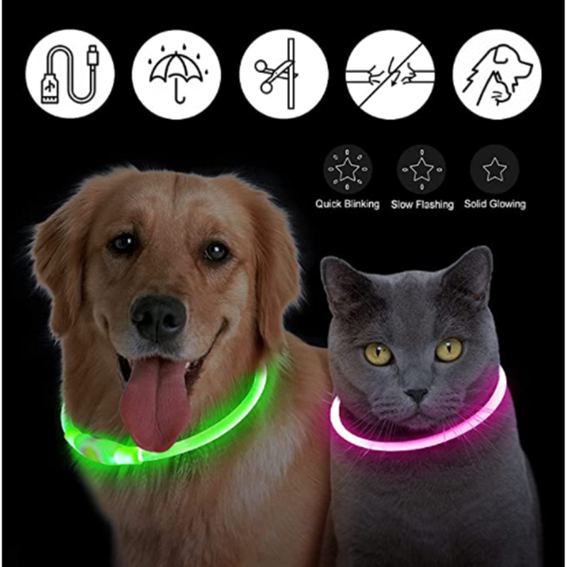 USB Rechargeable Luminous Coll - Tech Dog Accessories recensione e prezzo