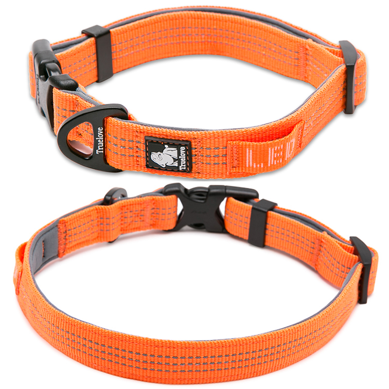 Winhyepet Dog Collar Traveling - Tech Dog Accessories recensione e prezzo