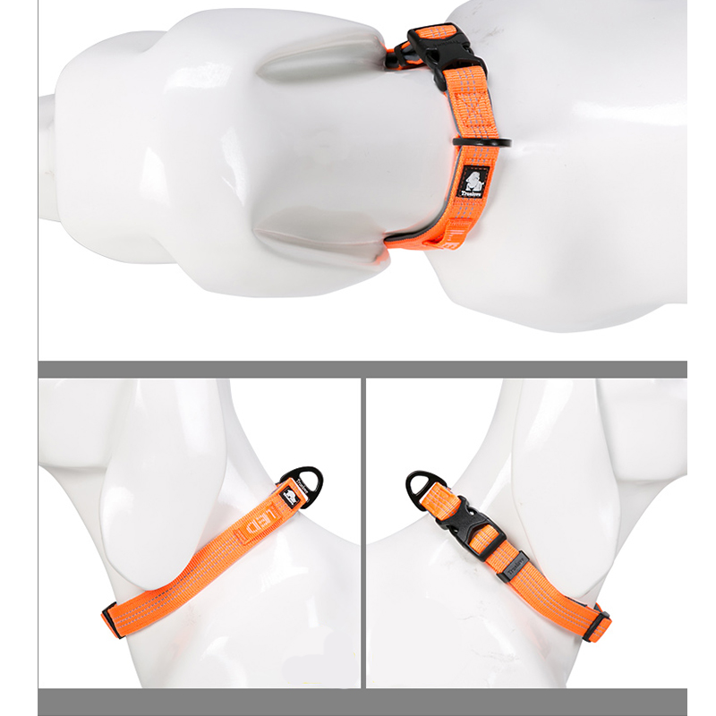 Winhyepet Dog Collar Traveling - Tech Dog Accessories recensione e prezzo