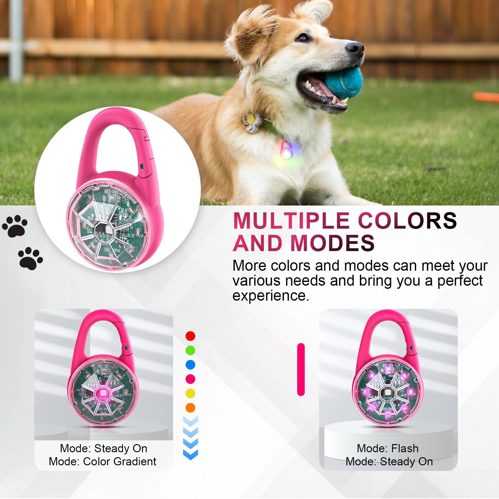 USB Rechargeable LED Pet Safet - Tech Dog Accessories recensione e prezzo