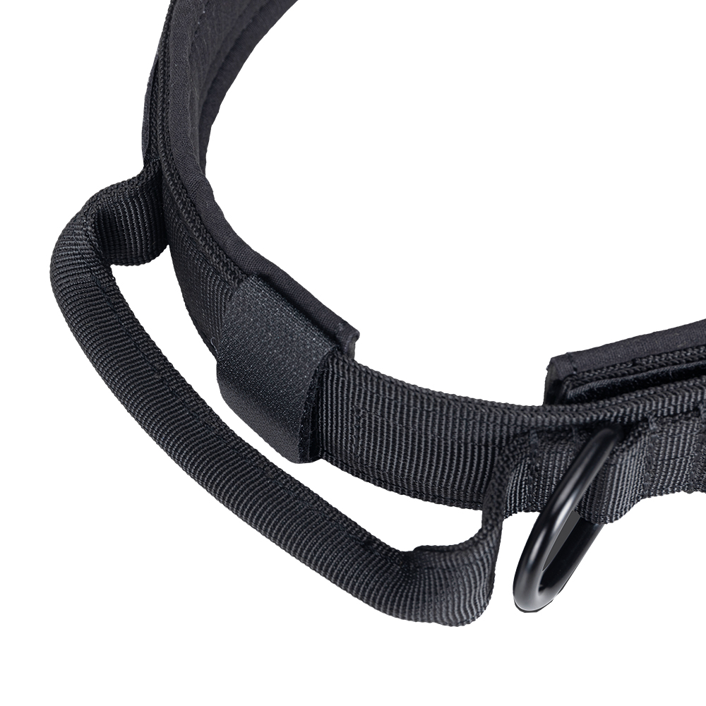 EXCELLENT ELITE SPANKER Dog Ta - Tech Dog Accessories recensione e prezzo