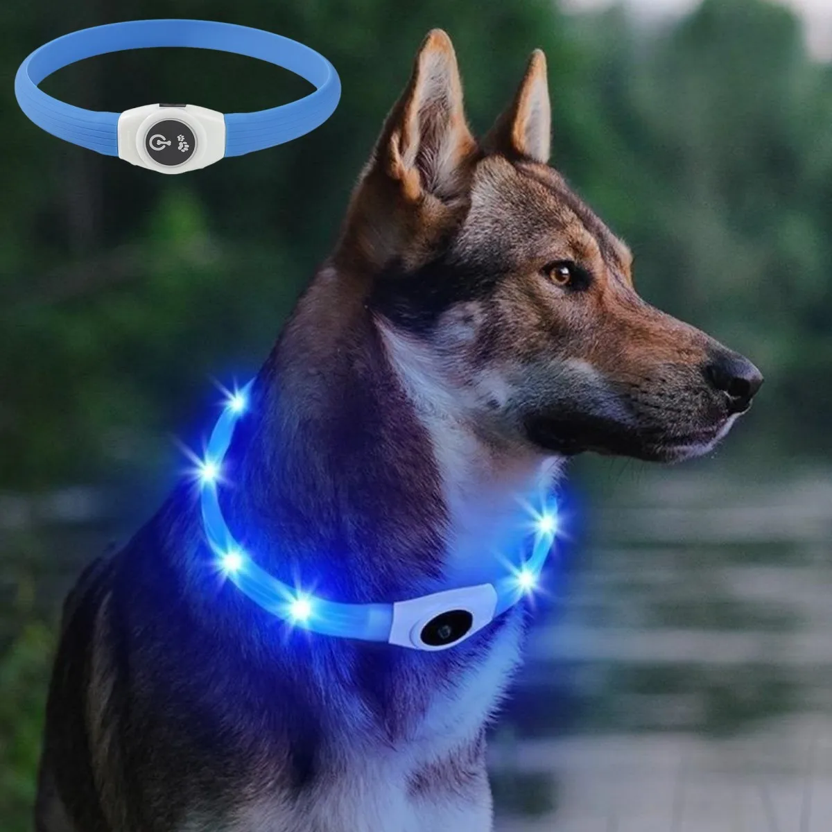 New Led Luminous Dog Collar PV - Tech Dog Accessories recensione e prezzo