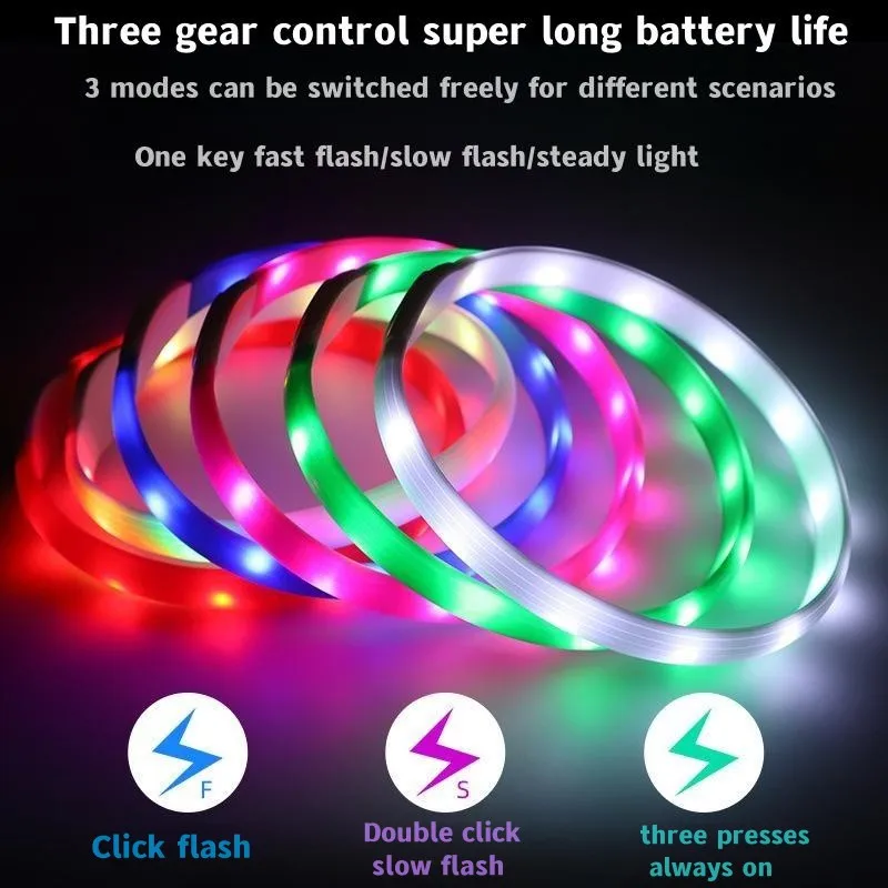 New Led Luminous Dog Collar PV - Tech Dog Accessories recensione e prezzo