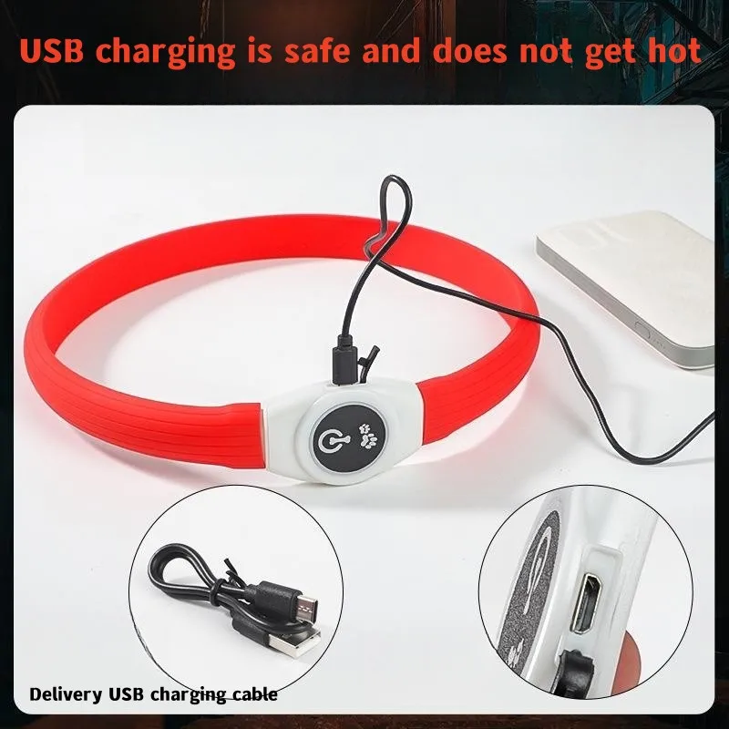 New Led Luminous Dog Collar PV - Tech Dog Accessories recensione e prezzo