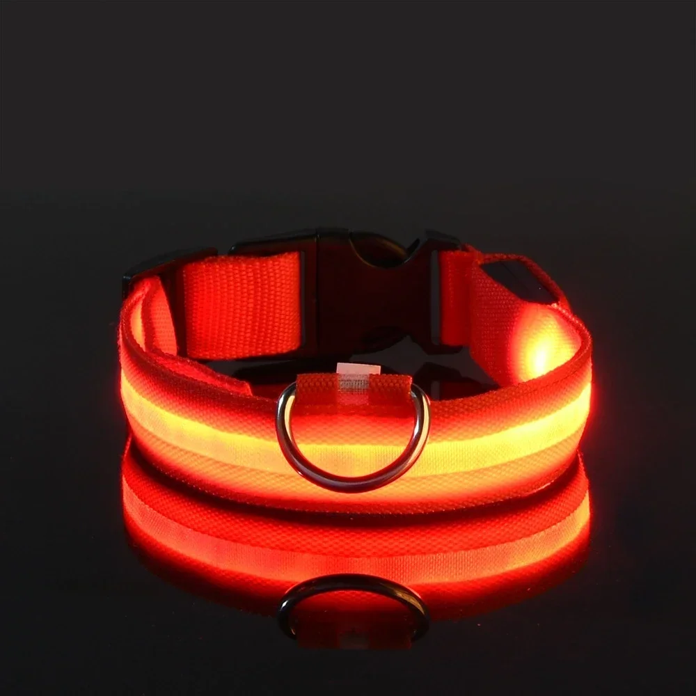 Dog Collar Nylon LED Night Saf - Tech Dog Accessories recensione e prezzo