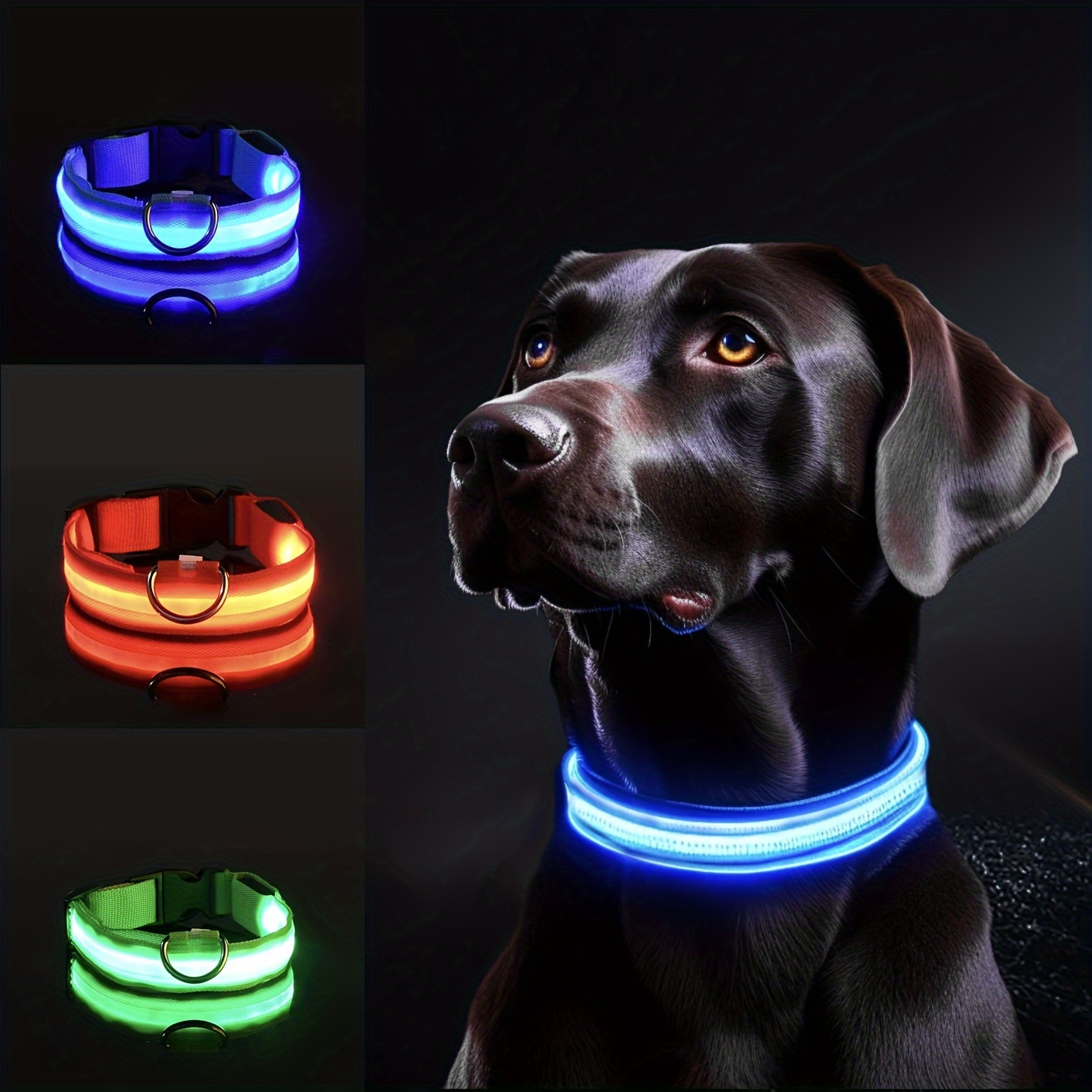 Reflective LED Dog Collar for  - Tech Dog Accessories recensione e prezzo