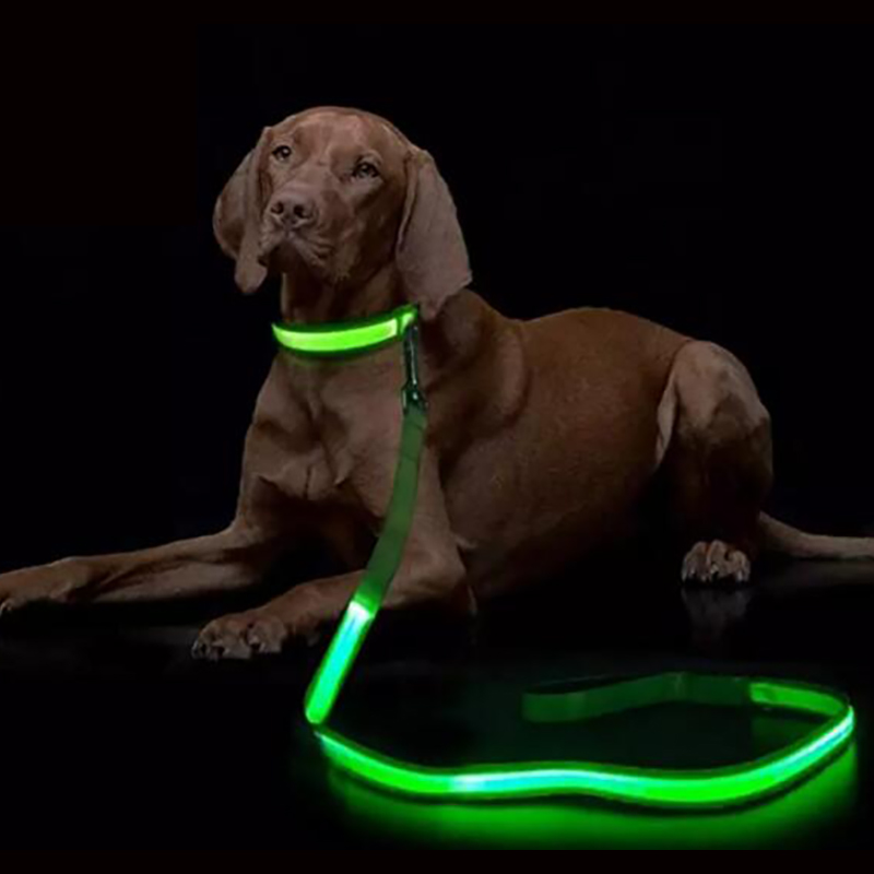 LED Light Up Dog Leash Luminou - Tech Dog Accessories recensione e prezzo
