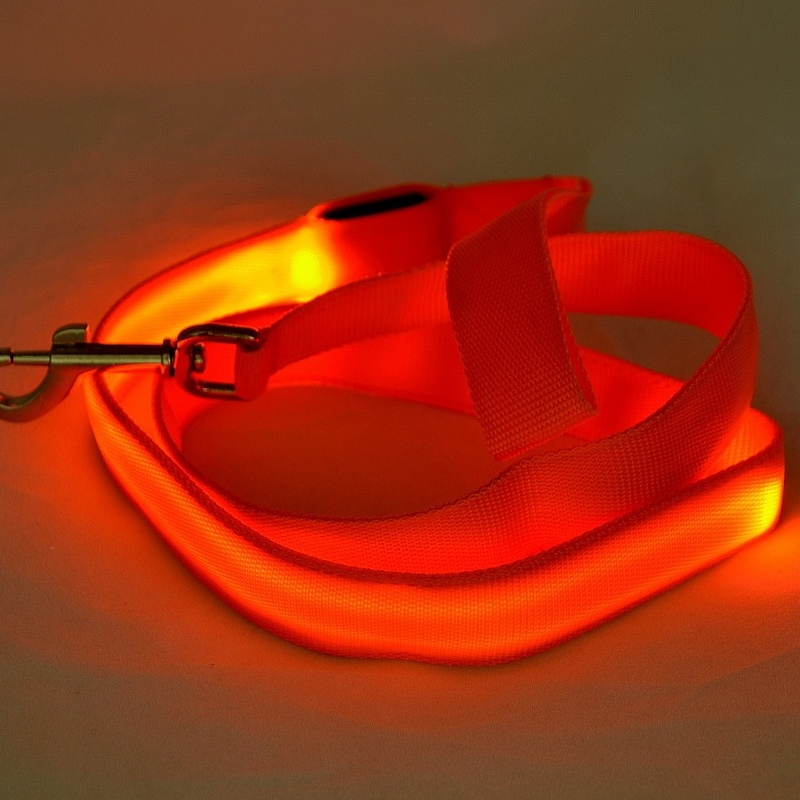 LED Light Up Dog Leash Luminou - Tech Dog Accessories recensione e prezzo
